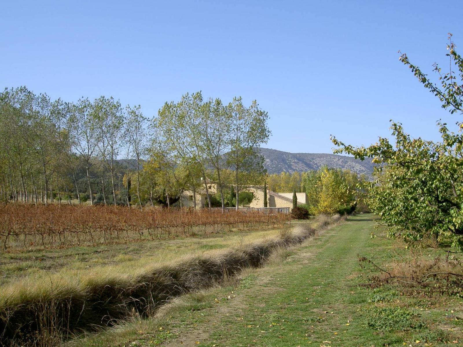 Gite Aux Tournesols Malaucène Εξωτερικό φωτογραφία